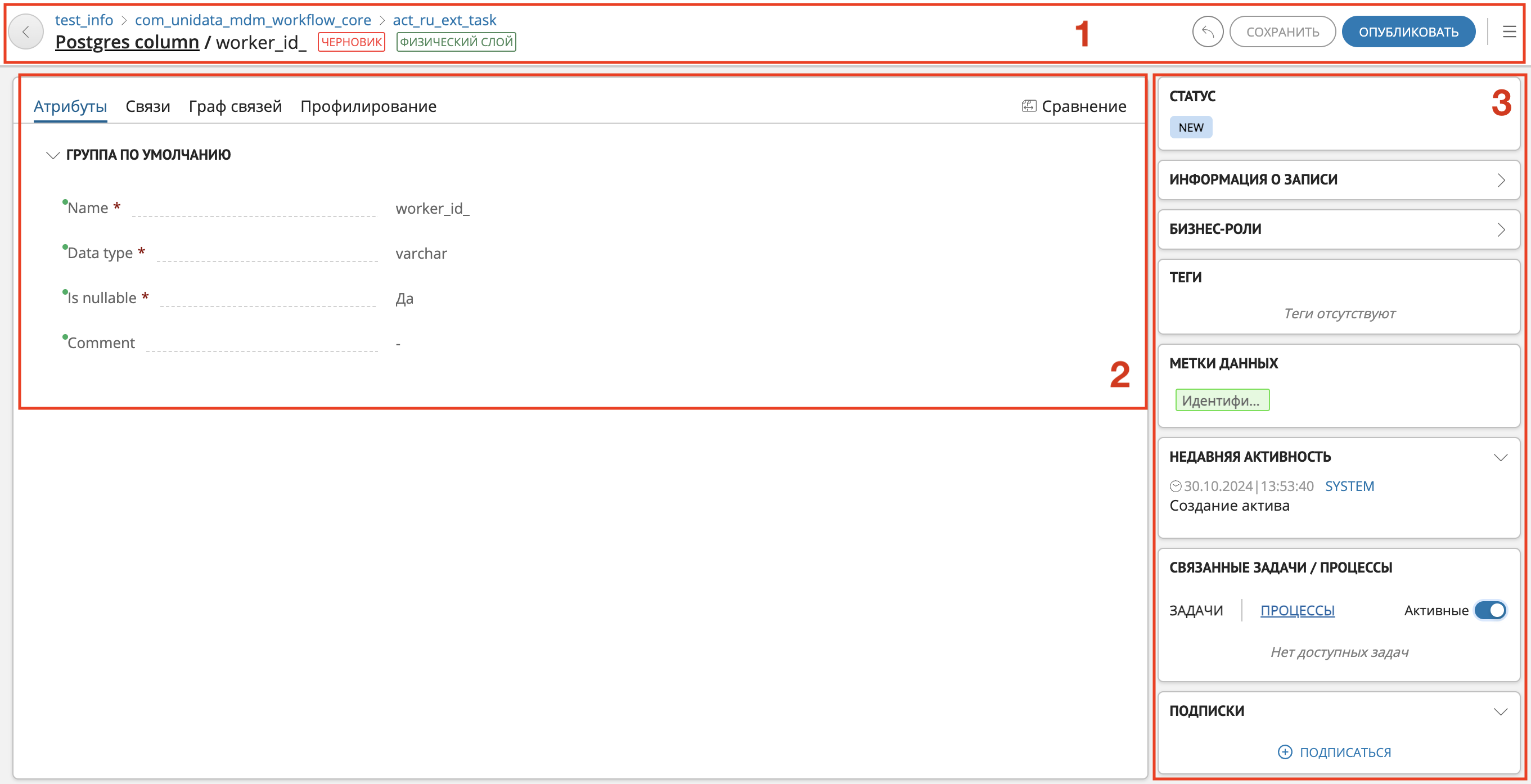 Пример отображения карточки записи актива в режиме черновика